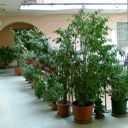 Apartment Casa Libera Trastevere